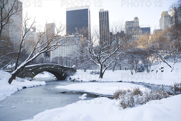 USA, New York City, View of Central Park in winter with Manhattan skyline in background. Photo : fotog