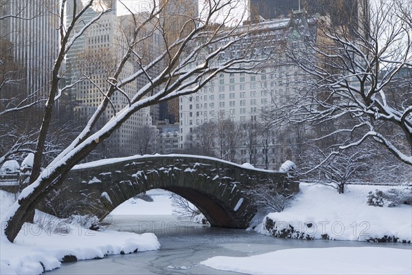 USA, New York City, View of Central Park in winter with Manhattan skyline in background. Photo : fotog