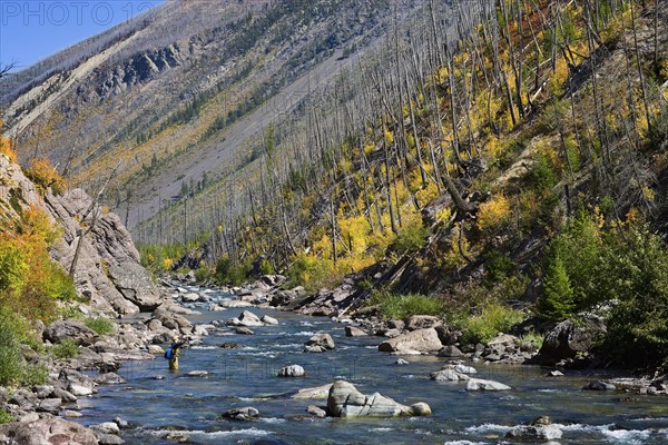 USA, Montana, Woman fly fishing in North Fork of Blackfoot River. Photo : Noah Clayton