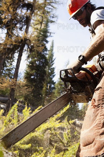 USA, Montana, Lakeside, lumberjack felling tree. Photo : Noah Clayton