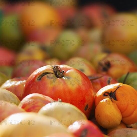 Close up of heirloom tomatoes on market stall.