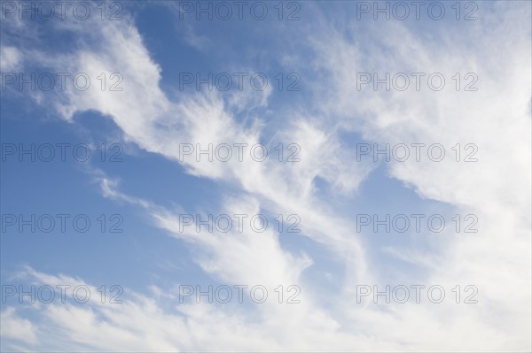 Cirrus clouds. Photo : Chris Hackett