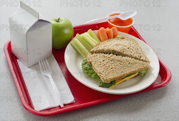 School lunch on tray.