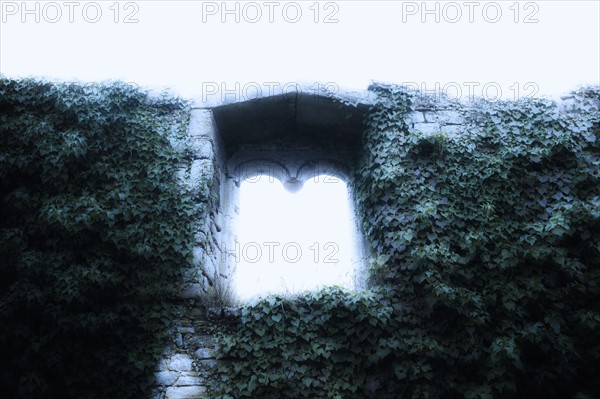 United Kingdom, Bristol, Window in old ruin.