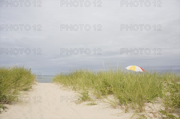 USA, Massachusetts, beach umbrella among Marram grass on beach. Photo : Chris Hackett