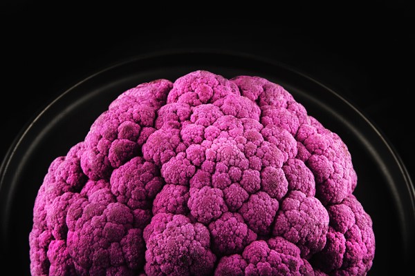 Purple Cauliflower on black background. Photo : Joe Clark