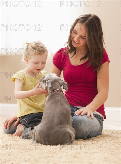 Young woman with sister (2-3) playing with schnauzer. Photo : Mike Kemp