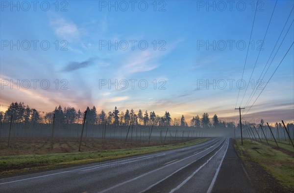 USA, Oregon, highway at sunrise. Photo : Gary Weathers