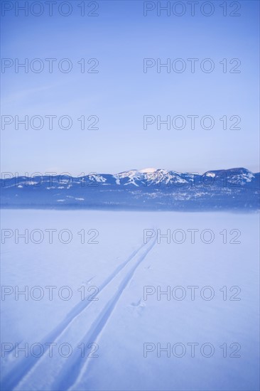 USA, Montana, Whitefish, Cross country skiing tracks in snow. Photo : Noah Clayton