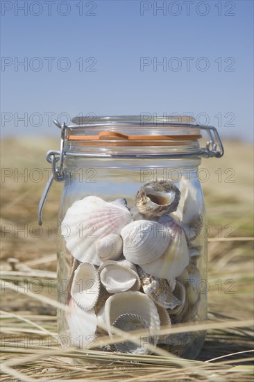 USA, Massachusetts, close up of shells in jar. Photo : Chris Hackett