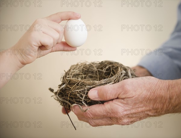 Close up of hands of grandfather and grandson (8-9) holding bird's nest and egg. Photo : Jamie Grill Photography