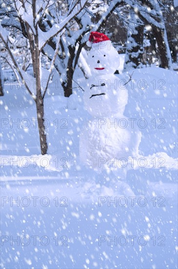 USA, New York, New York City, snowman in snowflakes.