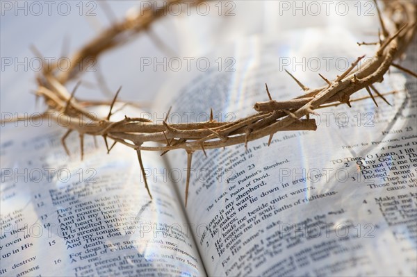 Studio shot of crown of thorns and bible.