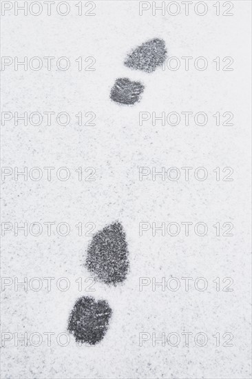 USA, New Jersey, Footprints in snow. Photo : Chris Hackett