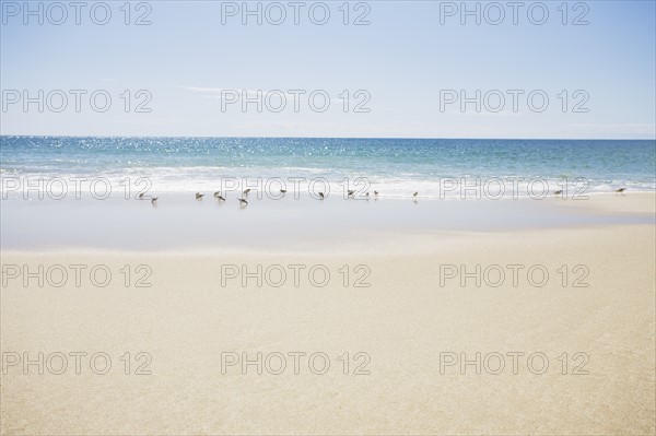 USA, Massachusetts, Empty beach. Photo: Chris Hackett
