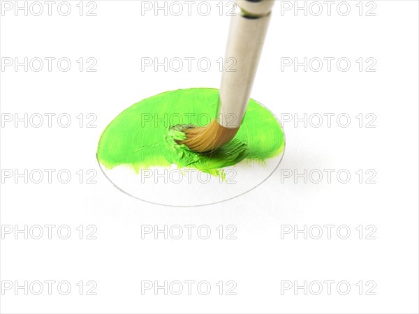 Paintbrush in green paint on white background. Photo : David Arky