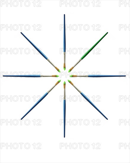 Blue paintbrushes in green paint on white background. Photo : David Arky