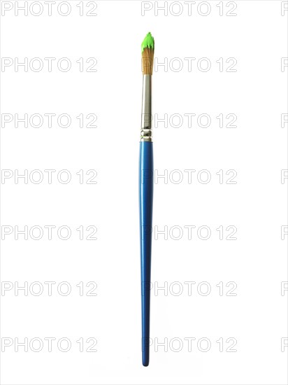 Blue paintbrush with green paint on white background. Photo : David Arky