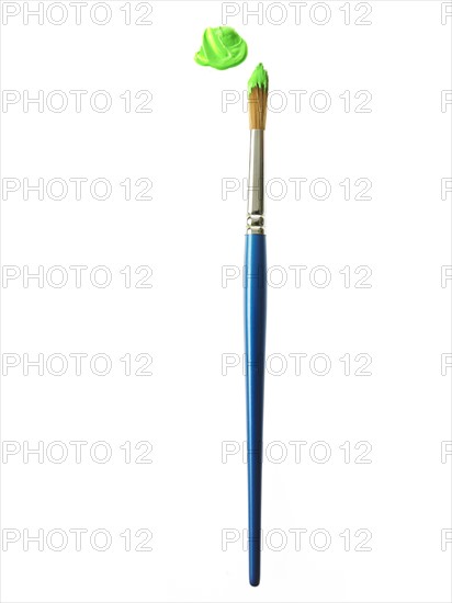 Blue paintbrush with green paint on white background. Photo: David Arky