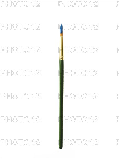 Green paintbrush with blue paint on white background. Photo: David Arky