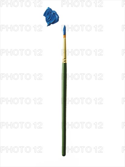 Green paintbrush with blue paint on white background. Photo: David Arky