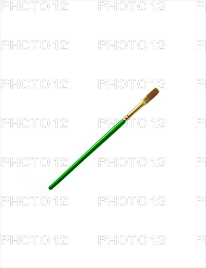 Green paintbrush on white background. Photo : David Arky