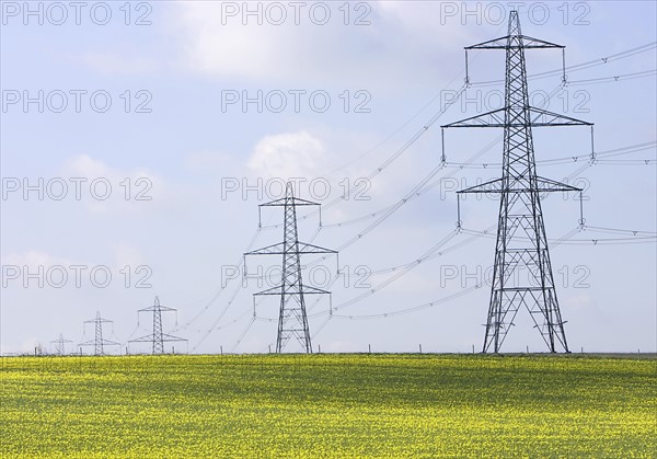 UK, Cambs, Burwell, Electricity pylons. Photo : Justin Paget