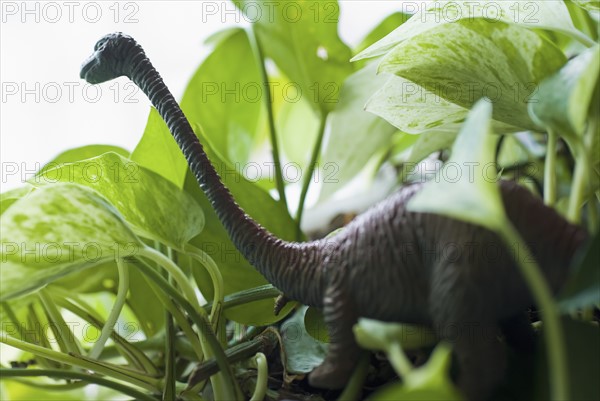 Figurine of dinosaur among leaves. Photo : Antonio M. Rosario