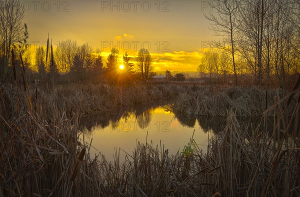 USA, Oregon, Sunset over Marsh. Photo : Gary Weathers