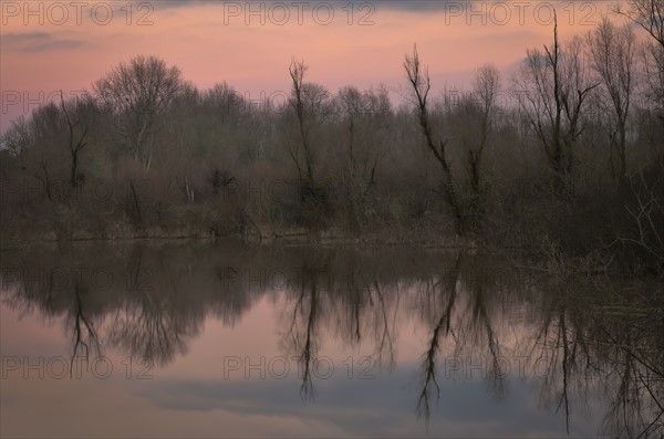 USA, Oregon, Bare trees reflecting in lake at sunrise. Photo: Gary Weathers