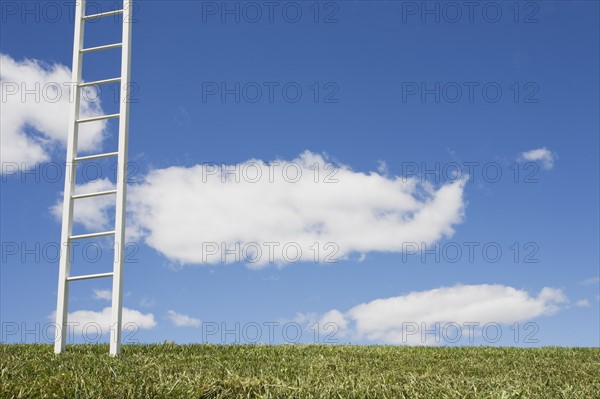 USA, New Jersey, White ladder in field. Photo : Chris Hackett