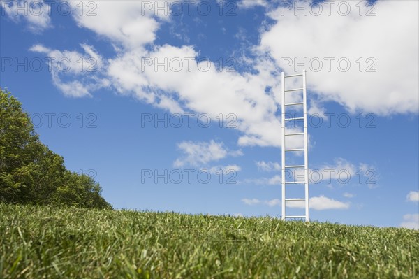 USA, New Jersey, White ladder in field. Photo : Chris Hackett