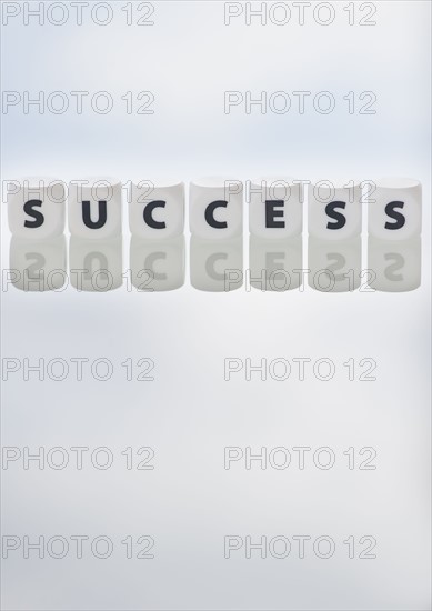 Studio shot of dice spelling out success. Photo : Daniel Grill