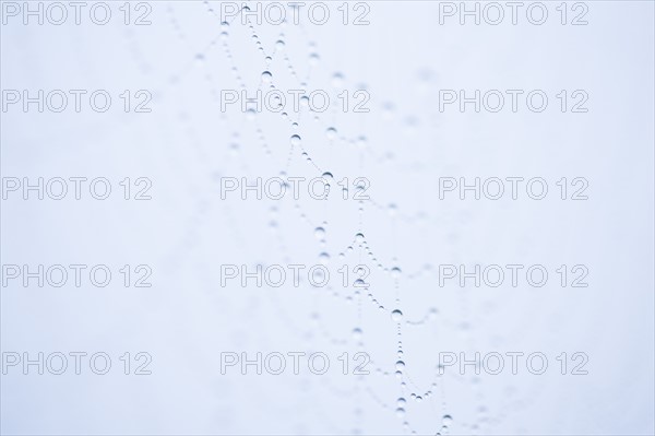 Footprints in snow. Photo : Kristin Lee