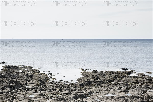 France, Brittany, Rocky beach and ocean. Photo : Jon Boyes