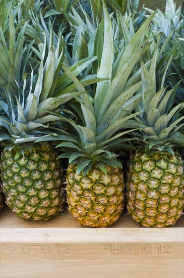 Pineapples on market. Photo : Antonio M. Rosario