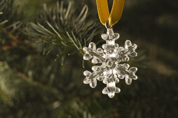 Close-up view of silver star hanging on Christmas tree. Photo : Kristin Lee