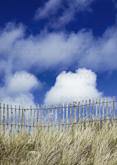 France, Picket fence, grasses and blue sky. Photo : Jon Boyes