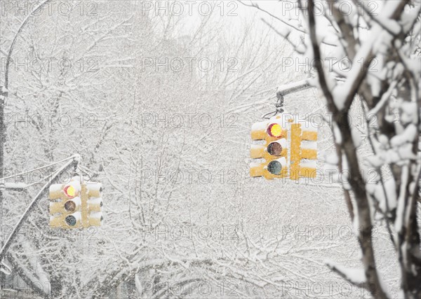 USA, New York State, Brooklyn, Williamsburg, street lights and snow covered trees. Photo : Jamie Grill Photography