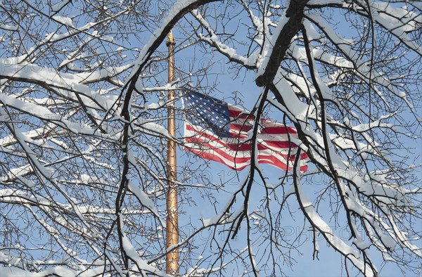 USA, New York, New York City, american flag behind winter trees.