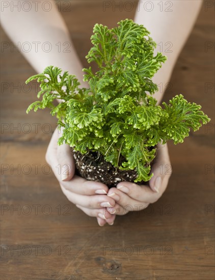 Woman holding seedling in cupped hands.
