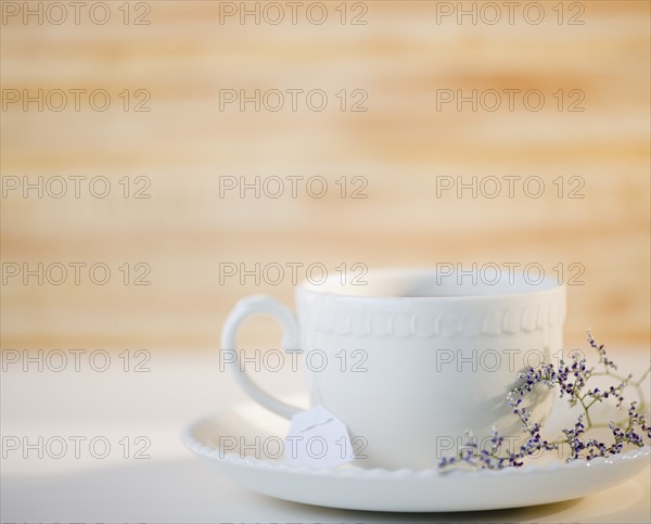 Cup and saucer decorated with herb. Photo : Jamie Grill Photography