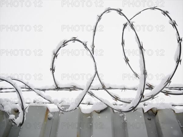 USA, New York State, Brooklyn, Williamsburg, barbed wire covered with snow. Photo : Jamie Grill Photography