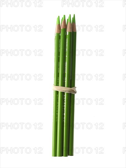 Studio shot of bunch of green pencils. Photo : David Arky