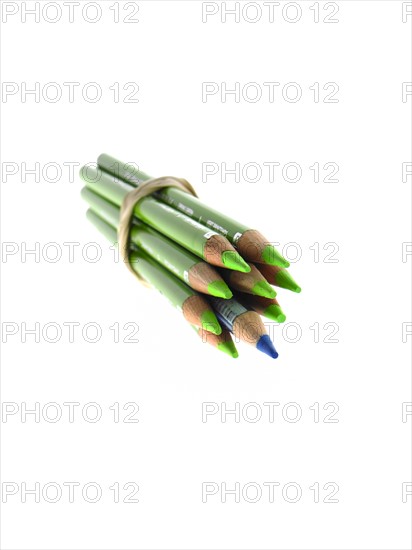 Studio shot of bunch of green pencils with one blue. Photo : David Arky