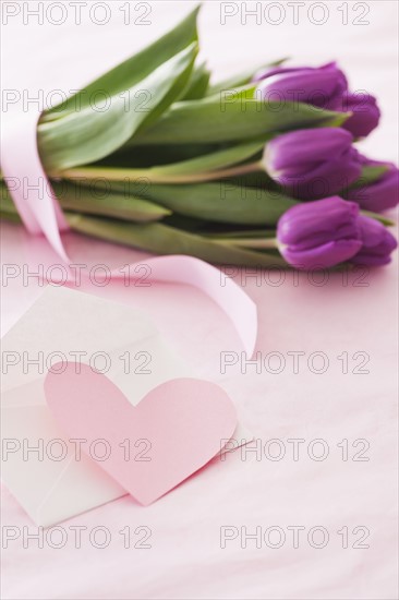 Studio shot of tulips and greeting card. Photo : Daniel Grill