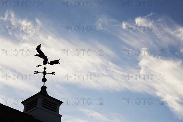 USA, New Jersey, Building top with wind vane. Photo : Chris Hackett
