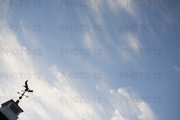 USA, New Jersey, Building top with wind vane. Photo : Chris Hackett