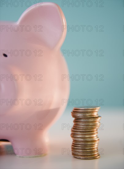 Piggy bank and stack of coins. Photo : Jamie Grill Photography