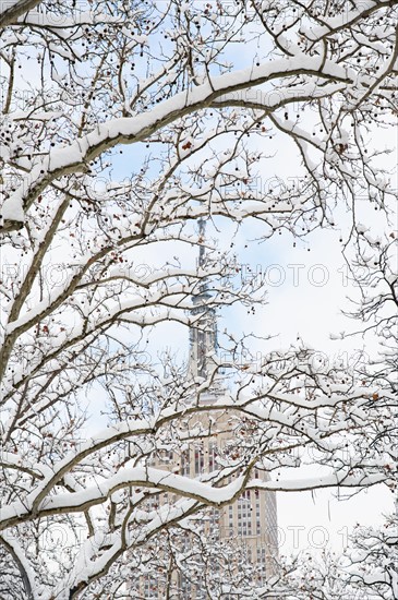 USA, New York, New York City, Empire State Building behind branches covered with snow.